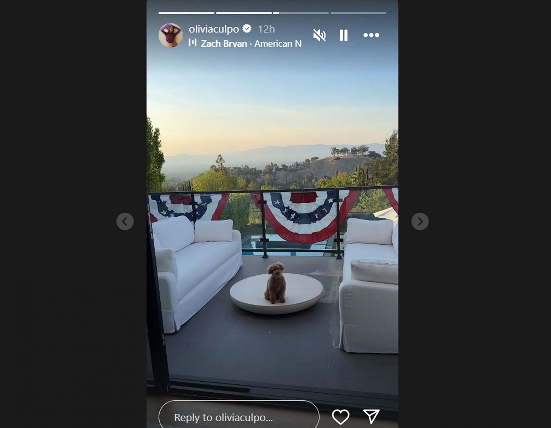 Olivia Culpo shares glimpse of 4th of July celebrations at home/@oliviaculpo